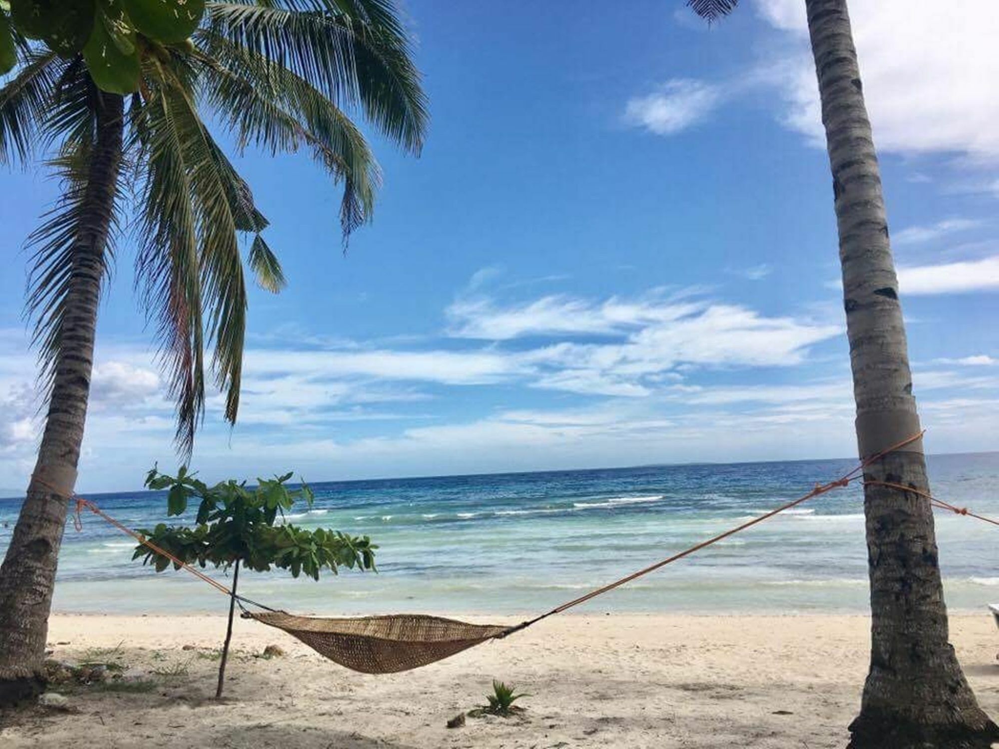 The Whitehouse By The Sea Villa Panglao Exterior photo